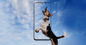 Samsung Galaxy 31s FAQ