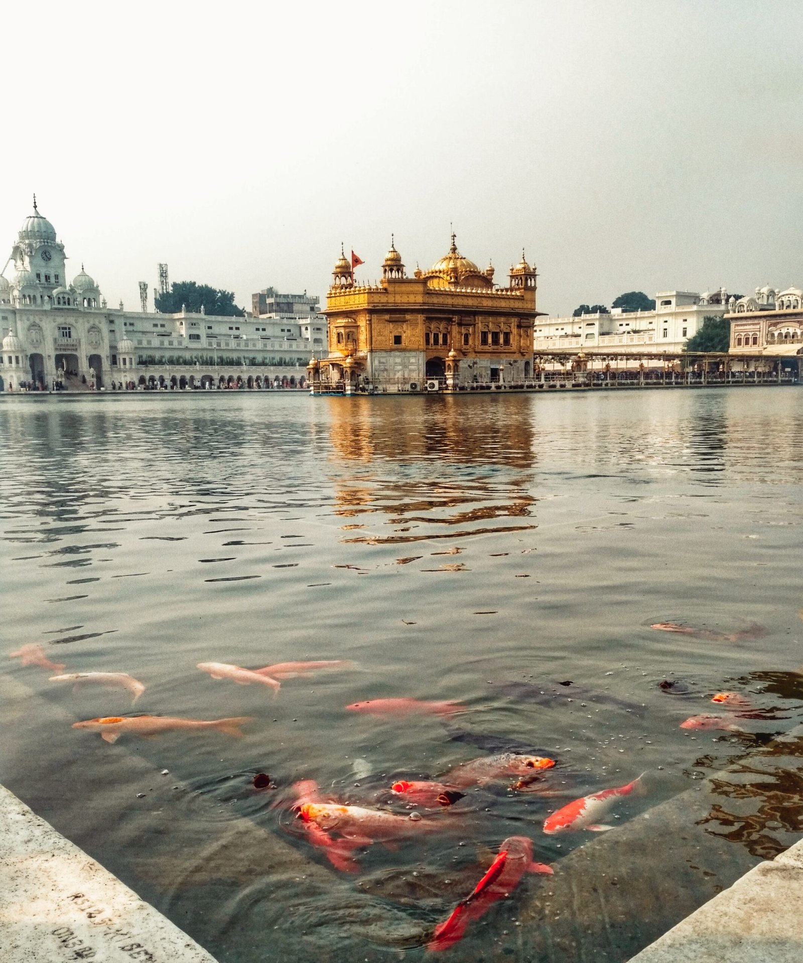 10 Best Places to Go Out in Amritsar, India